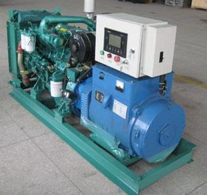 仪陇发电机出租